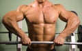 Close-up of a bodybuilder lifting weights Royalty Free Stock Photo