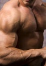 Close-up of a bodybuilder torso