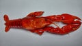Close up of a boiled crayfish Royalty Free Stock Photo