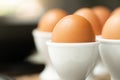 Close up boiled egg in egg cup Royalty Free Stock Photo