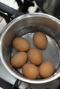 Boiled eggs in pot on the kitchen stove Royalty Free Stock Photo