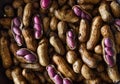 Close up of boiled peanuts or groundnuts, macro shot of peanuts, moody and dark