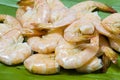 Close up boiled shrimp