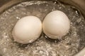 Close up boiling eggs in pot Royalty Free Stock Photo