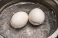 Close up boiling eggs in pot Royalty Free Stock Photo