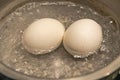 Close up boiling eggs in pot Royalty Free Stock Photo