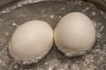 Close up boiling eggs in pot Royalty Free Stock Photo