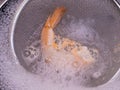 Close up of boiling raw fresh shrimp with a colander in boiling water in a pot. Concept of preparing healthy meal Royalty Free Stock Photo