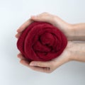 Close-up of bordeaux merino wool ball in hands Royalty Free Stock Photo