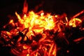 Close up of a Born Fire