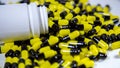 Close up on a bottle of prescription drugs falling out. Black and yellow pills Royalty Free Stock Photo