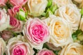 Close up of bouquet of blooming roses. pastel colors Royalty Free Stock Photo