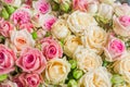 Close up of bouquet of blooming roses. pastel colors Royalty Free Stock Photo