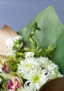 Close up of a bouquet of chrysanthemums decorated with an original green twig.