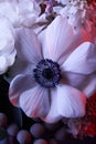 Close up of bouquet of different flowers