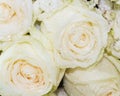 The close up of bouquet of fresh roses,selective focus Royalty Free Stock Photo