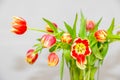 Close up bouquet of fresh tulips in a vase Royalty Free Stock Photo