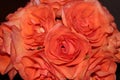 Macro Photo of a Bouquet of Orange Roses Royalty Free Stock Photo