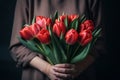 Close-up of a bouquet of red tulips in the hands of a girl in a blouse on a dark background
