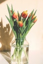 Close-up of a bouquet of spring red-yellow tulips in a glass vase on the table. Bright sunlight, harsh shadows. Vertical Royalty Free Stock Photo