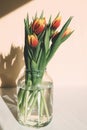 Close-up of a bouquet of spring red-yellow tulips in a glass vase on the table. Bright sunlight, harsh shadows. Vertical Royalty Free Stock Photo