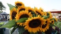 a bouquet of sunflowers at the market Royalty Free Stock Photo