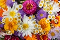 Bouquet of various summer flowers as background