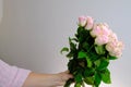 Close-up of bouquet of white, pink roses, in hands of adult woman, brought flowers on date with girlfriend, boyfriend, gives to