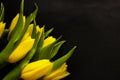 Spring flowers - concept perfect for social media Royalty Free Stock Photo