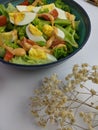 close up of a bowl of egg salad for a diet menu Royalty Free Stock Photo