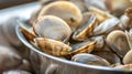 Fresh Clams in a Bowl Royalty Free Stock Photo
