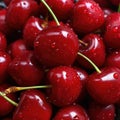 A close up of a bowl full of cherries, AI