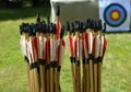 Archery equipment arrows