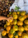 close-up of boy hand picking orange fruit at fruit market Royalty Free Stock Photo