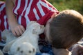 A boy getting a puppy kiss Royalty Free Stock Photo