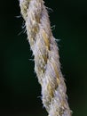 Close up on the braided strands of a rope made of natural material