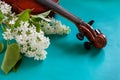 Close up of Branch of blossoming white lilac and violin on turquoise background