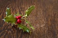 Close up of a branch of holly