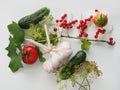 Close-up of a branch of a red currant bush, a bunch of three garlic, two cucumbers, two tomatoes and dill branches