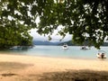 Close-up of a branch of a tropical tree in the background some leisure boats moored near the beach in Ilhabela