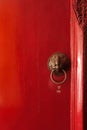 Close up of brass lion head door knocker Royalty Free Stock Photo