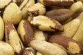 Close-up brazil nut. food background. Pile brazilian nuts Royalty Free Stock Photo