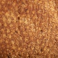 Close-up of a bread crust Royalty Free Stock Photo