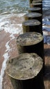 A close-up of the breakwater in the form of wooden piles