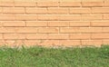 Brick wall with space and green grass patterns for light brown or orange background