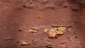 Close-up brick wall texture with cracks Royalty Free Stock Photo