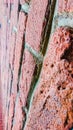 Red brick wall Royalty Free Stock Photo