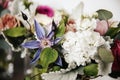 Close up of bridal wedding bouquet - pink peonies, rabbit ear plant, white hydrangea, purple lilies Royalty Free Stock Photo