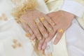 Close-up a bride and groom covers of each other's hands Royalty Free Stock Photo