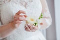 Close-up of the bride`s hands holds a boutonniere. boutonniere with red rose Royalty Free Stock Photo